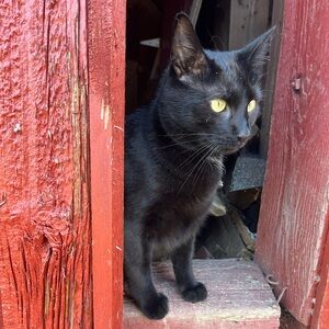 Meet your Posher, Colin